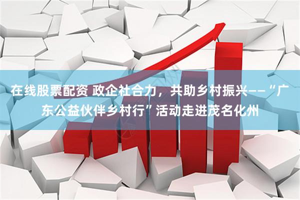 在线股票配资 政企社合力，共助乡村振兴——“广东公益伙伴乡村行”活动走进茂名化州